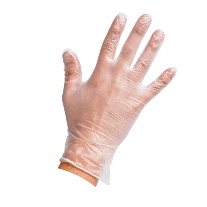 Powder-Free Vinyl Disposable Gloves Large